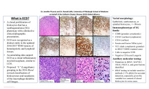 1.8.17 Picarsic Jaffe ECD USCAP 3.2107